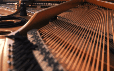 Dueling Pianos: A Concert to Benefit the Franklin County Humane Society