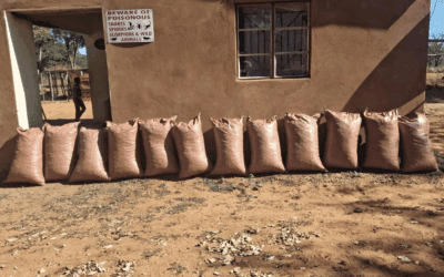 Zambia – Field of Hope Update