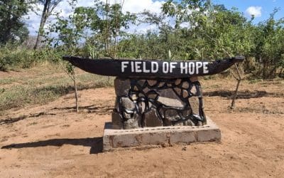 February Field of Hope Update