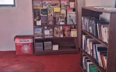 Mama Turner’s Library: Update from Partners in Development