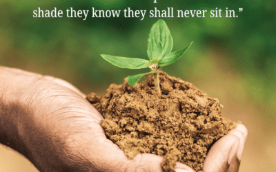 This Feels Like Growth – Pastor’s Column