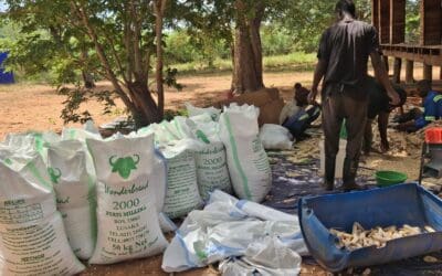 Zambia – Field of Hope Update